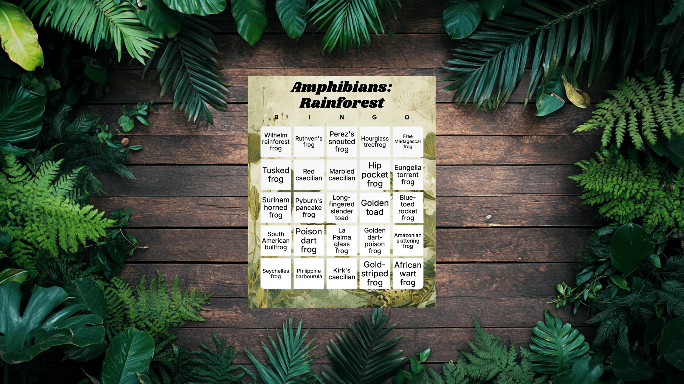 rainforest bingo card